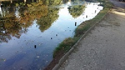 20160925 163804 1475696085143
