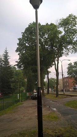 WP 20160614 20 13 25 Pro