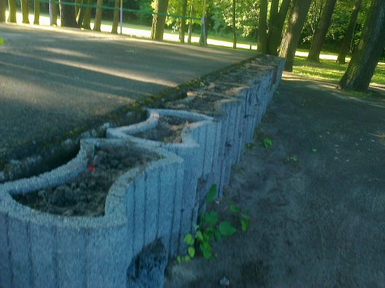 Zdjęcie0279