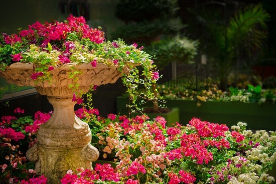 csm garden-g471c02634 1920 2c31ccf8a6