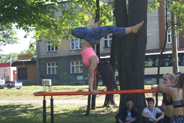 dsc04805